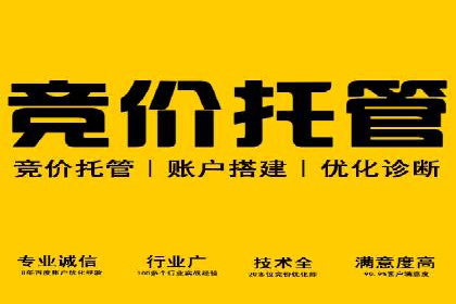 成功案例揭秘：百度推广代运营的五大优势